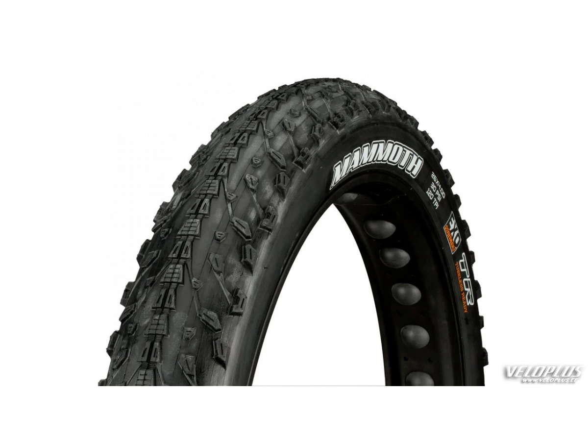 Valiskumm Maxxis Mammoth 26x4.0 fatbike ile EXO Veloplus