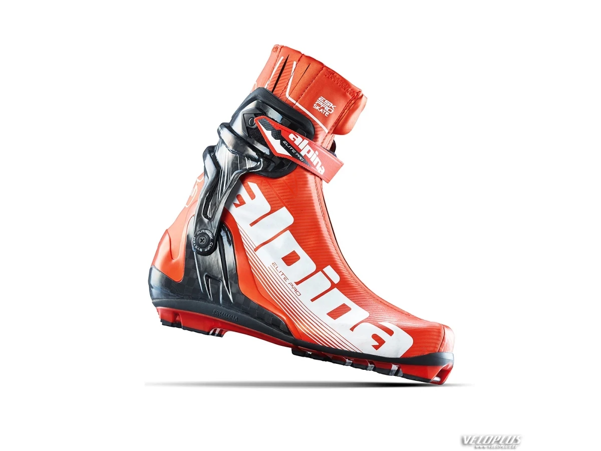 Ski boots Alpina ESK PRO nr 45,5
