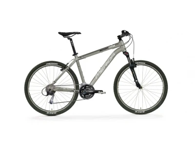 Ratas Merida Matts TFS 100-V 24 titaan-valge