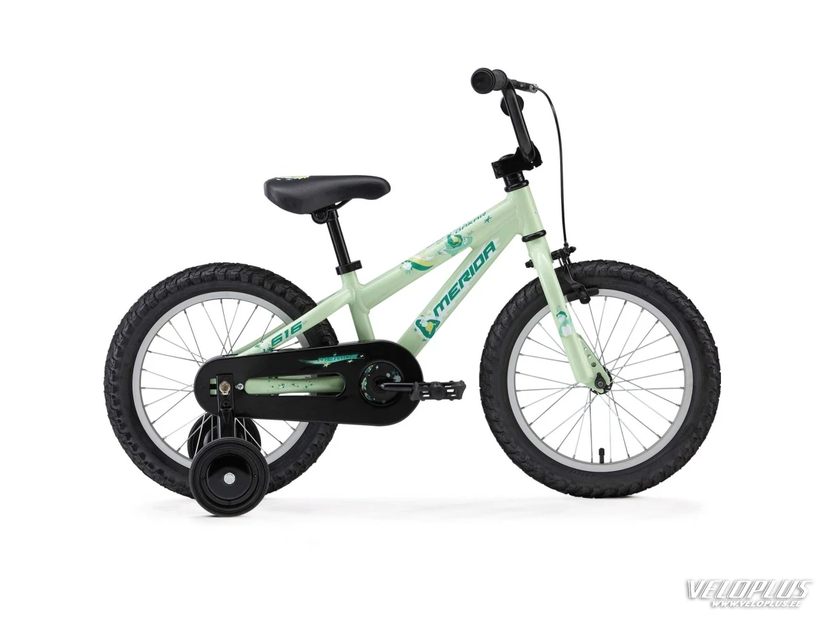 Bike Merida Dakar 616 green
