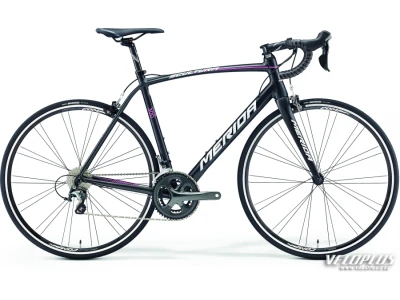 Bike Merida Scultura 300 XXS(44cm) black-lampre t - Veloplus