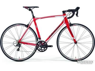 Ratas Merida Scultura 200 M-L(54cm) punane-valge-must