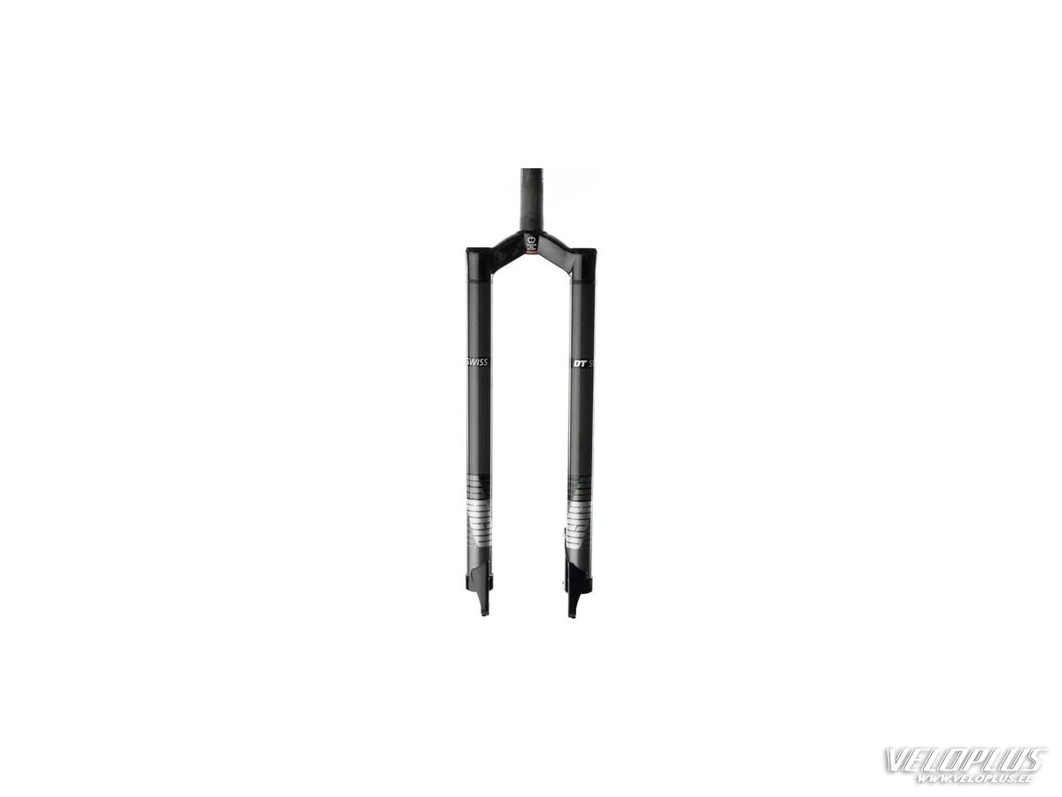 Rigid fork DT XRR 29 carbon