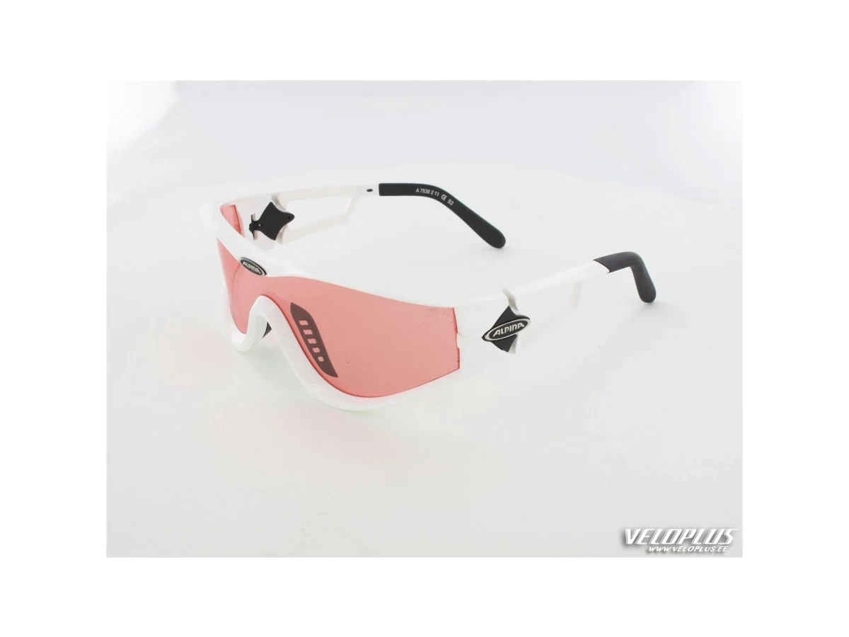Sunglasses Alpina Swing 32