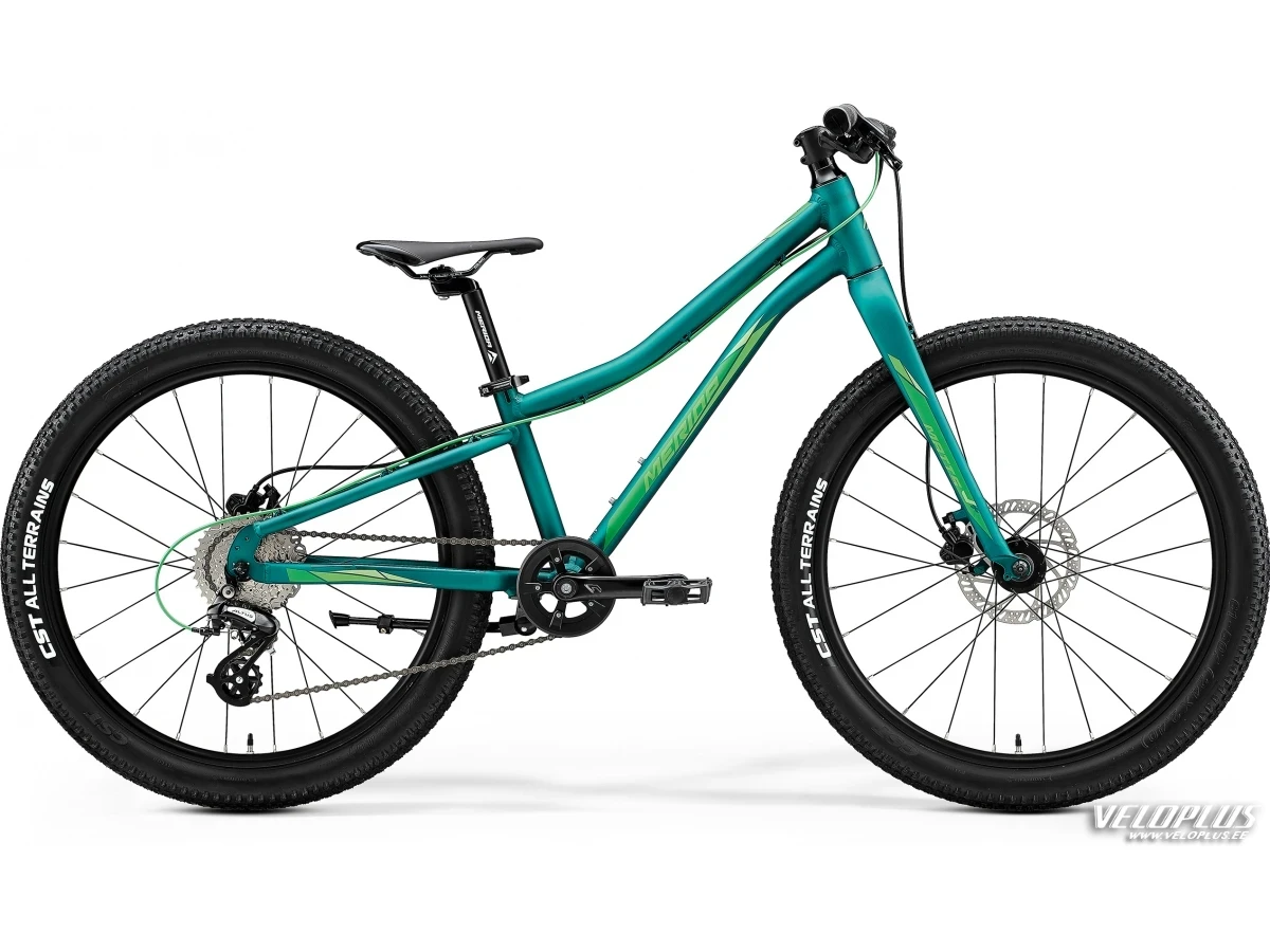 Bike Merida Matts J.24+ UNI matt green(light green)