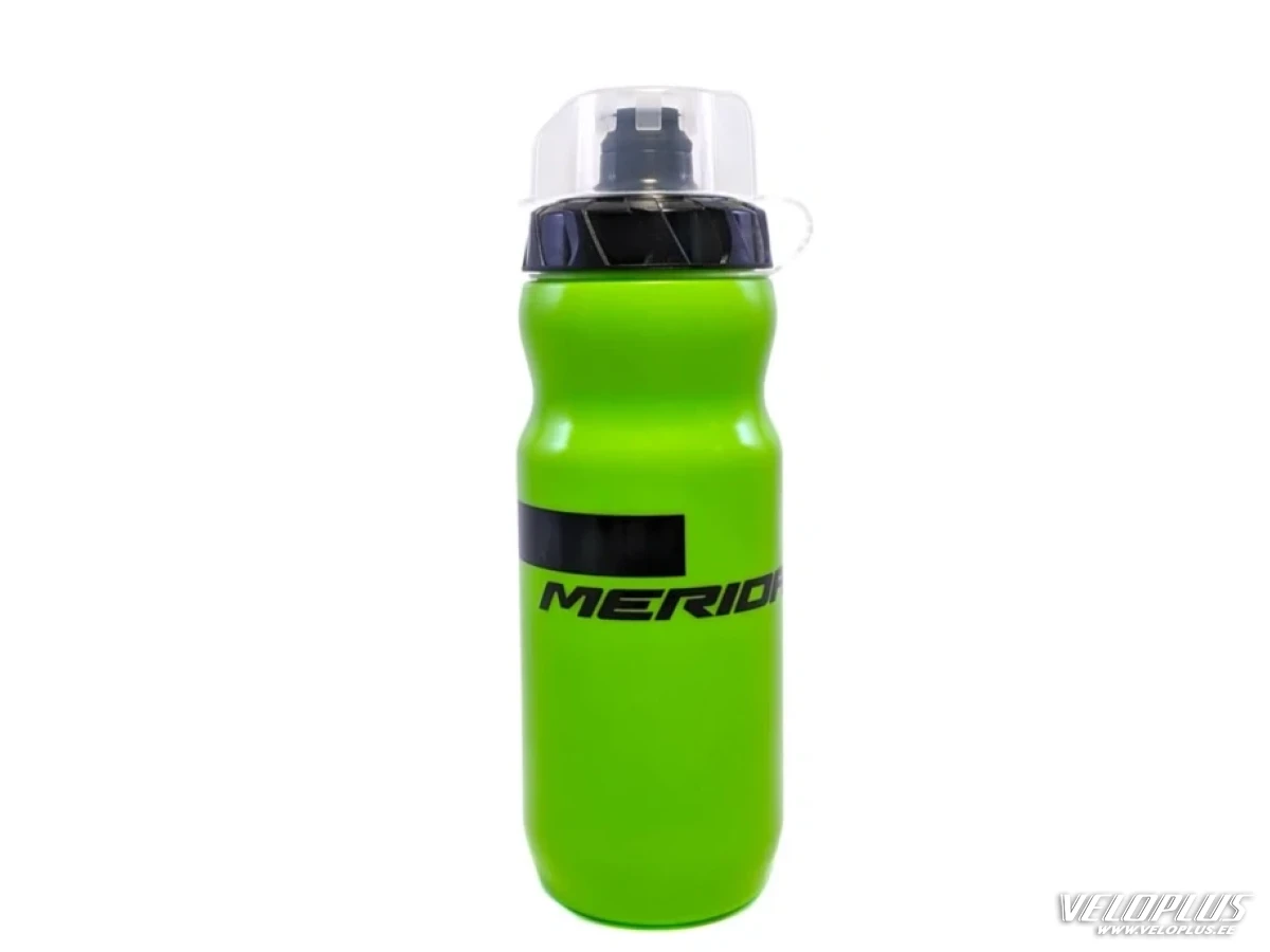 Pudel Merida Stripe 760ml roheline
