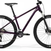 Bike Merida Big.Nine 300 dark purple-black 29" L(18.5") thumbnail 1