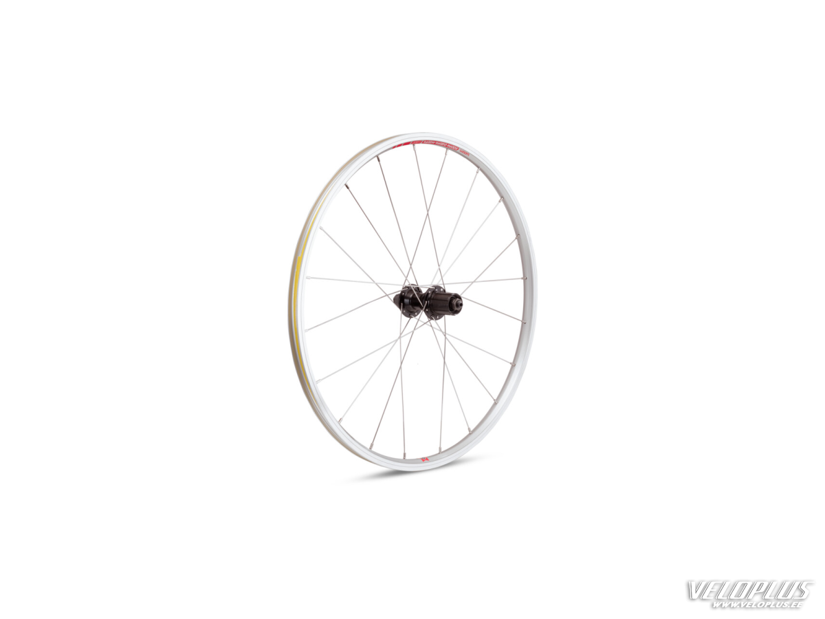 Galinis ratas WOOM 4 rel G 20" 20H AV HG kasetei sidabrinis