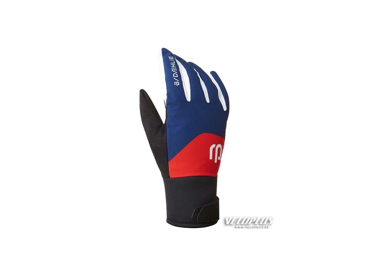 Gloves Björn Daehlie Classic 2.0 junior estate blue L
