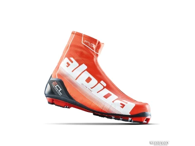Ski boots Alpina ECL Pro nr. 46,5