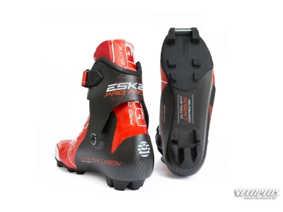 Ski boots Alpina ESK 2.0 size 44