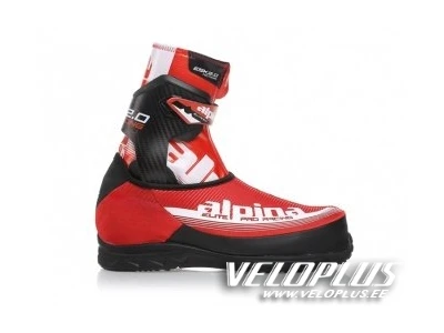 Ski boots Alpina ESK 2.0 size 44
