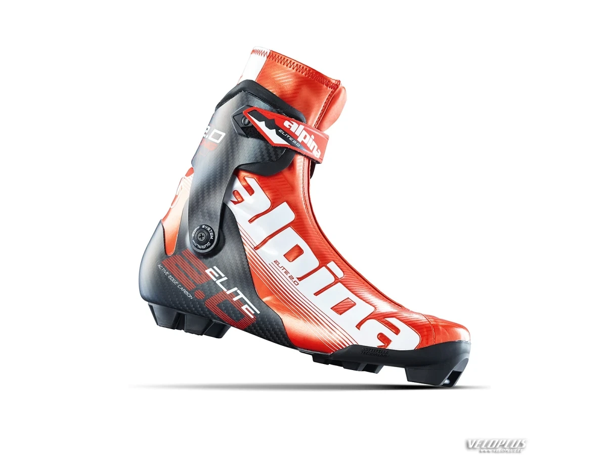 Ski boots Alpina ESK 2.0 size 45