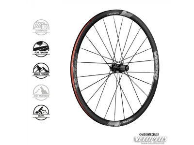 Wheelset VISION TEAM 30 DB-CL CH-TL SH11 24Hx24H B2