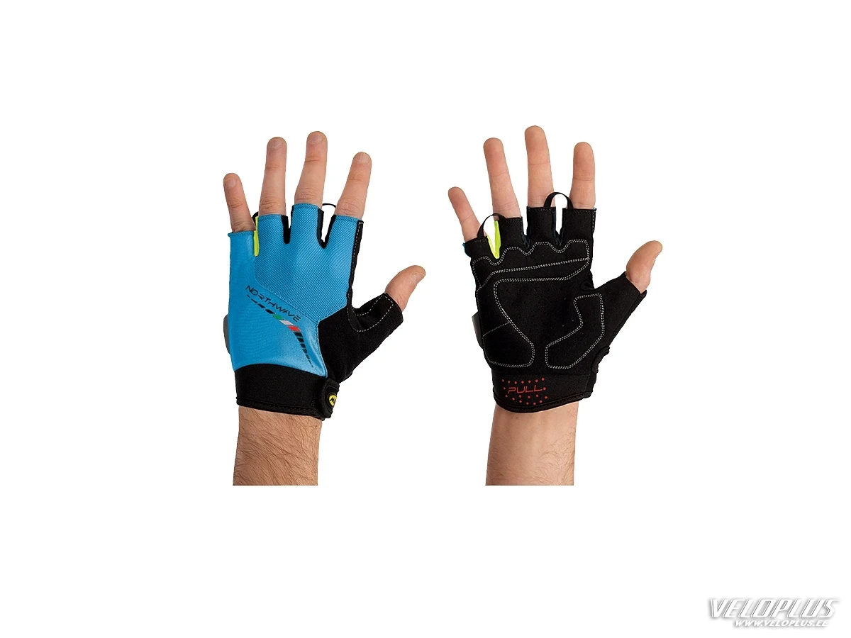 Lühikesed kindad Northwave Force sinine M