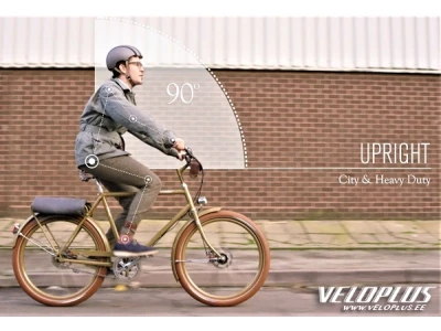 Sadul BROOKS CAMBIUM C19 must TEST