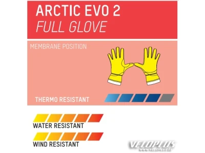 Winter gloves Northwave Artic Evo 2 black S