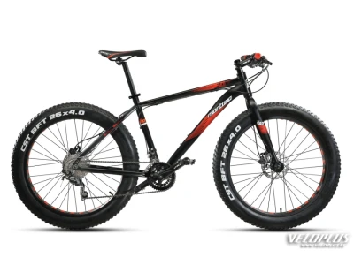 Fatbike MONTANA FAT 26" ACERA 2x8 M-DISC 44cm/17" must-punane