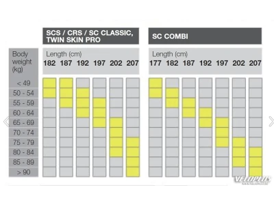 Skis Fischer SC Classic NIS 202