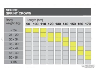 Skis Fischer Sprint Crown NIS 130