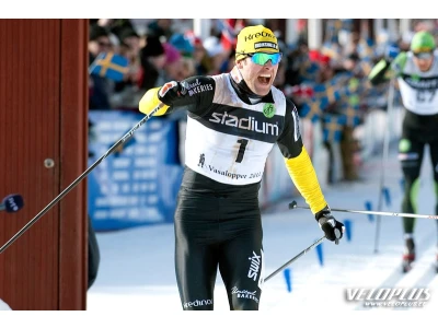 Ski poles SKIGO Racing 1.0 160cm 100% carbon yellow