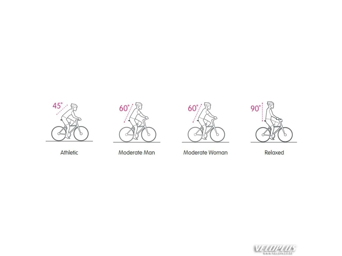 Saddle Selle Royal Mach