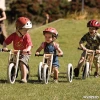 Running/balance bike Wishbone Original 3in1 thumbnail 4