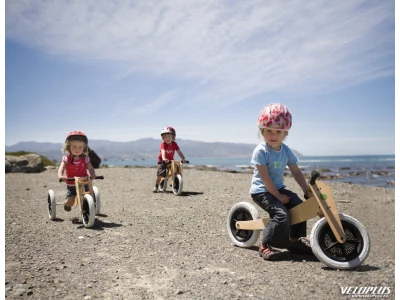 Running/balance bike Wishbone Original 3in1