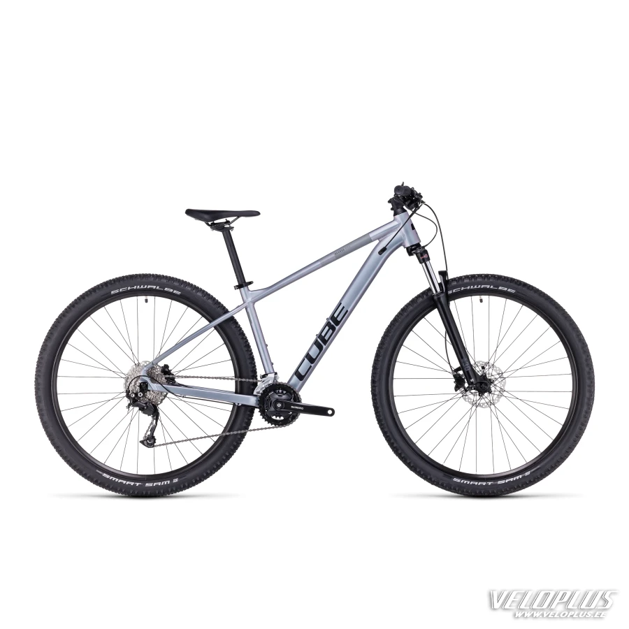 Cube Access WS Pro