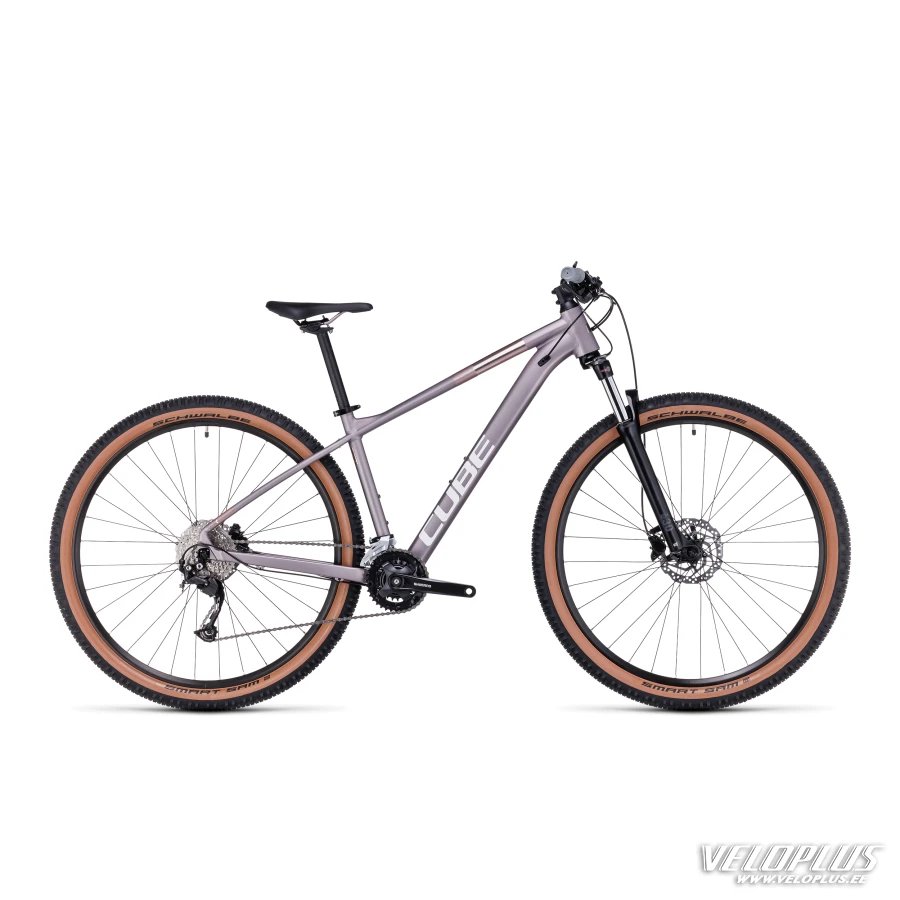 Cube Access WS Pro