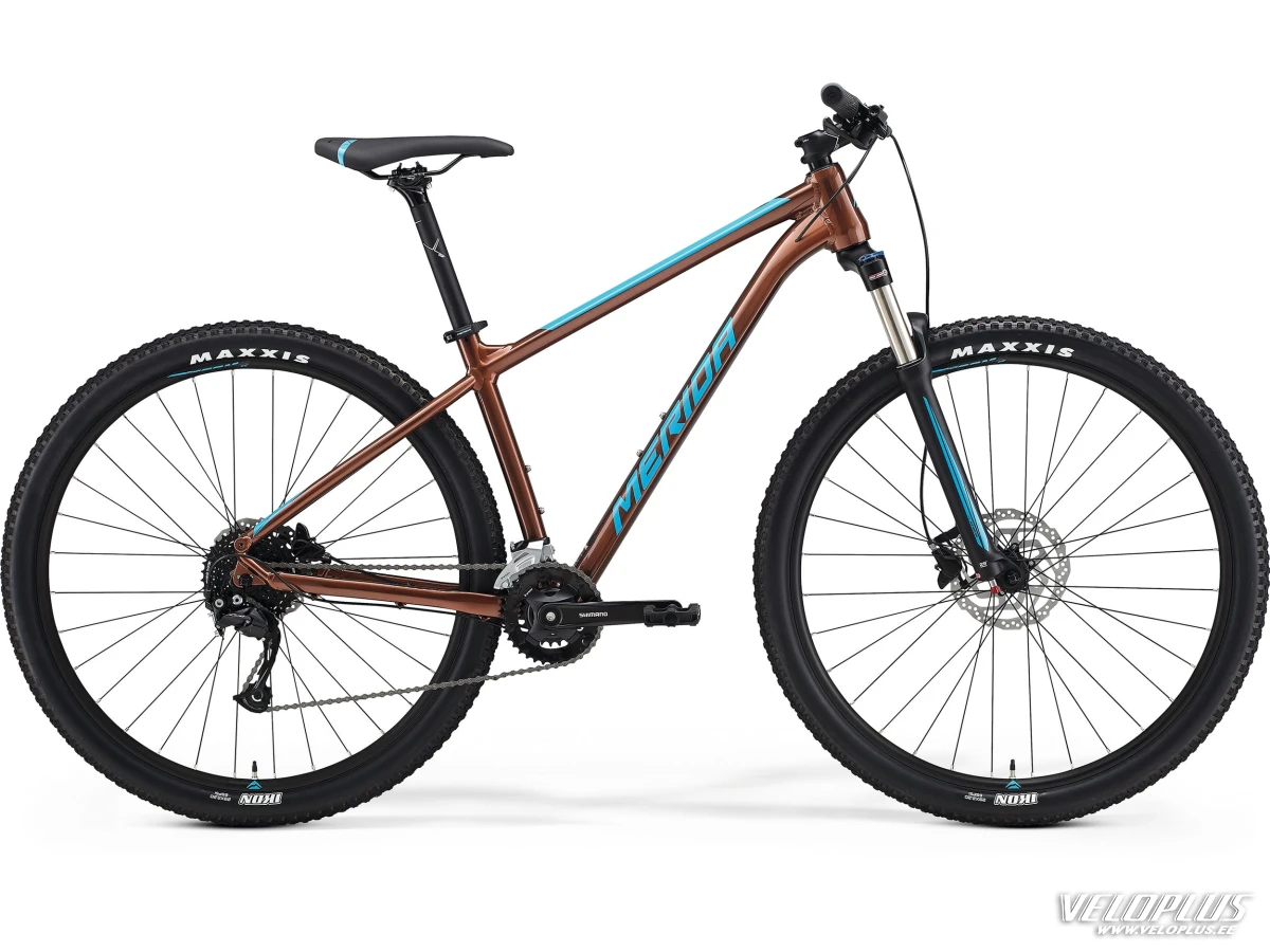 Merida Big.Nine 100 2X 2021