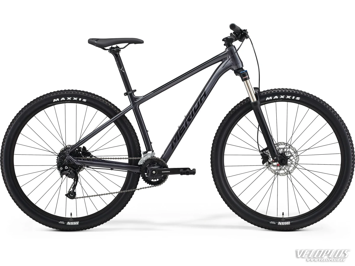 Merida Big.Nine 100 2X 2021