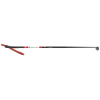 Rex Apollo Ski Poles
