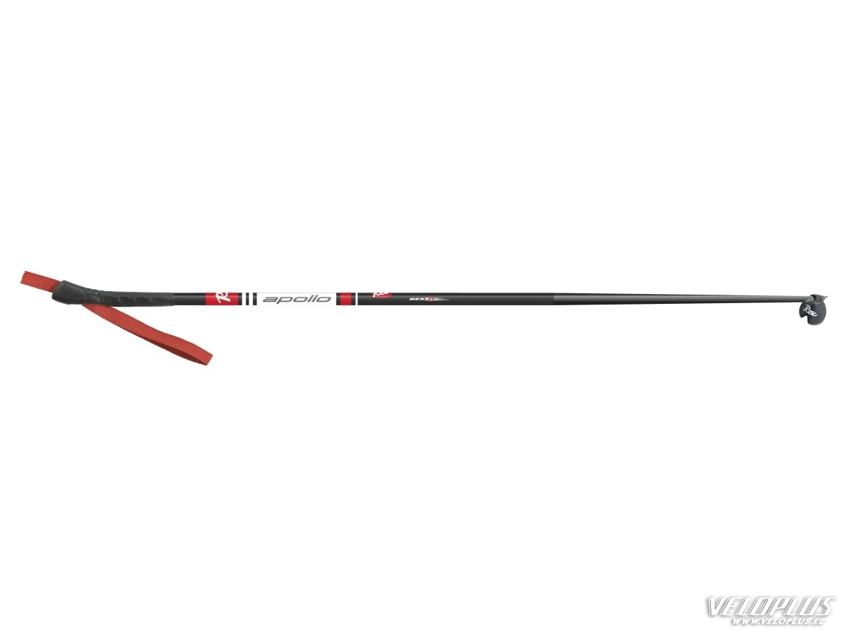 Rex Apollo Ski Poles