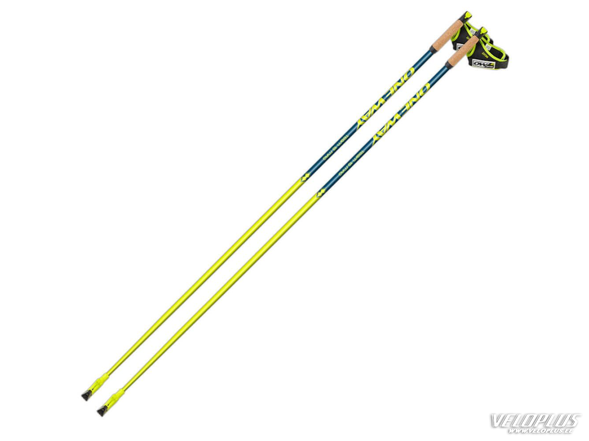 Nordic walking poles ONE WAY TEAM 15 MAG