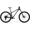 Merida BIG.TRAIL 300 (2025)