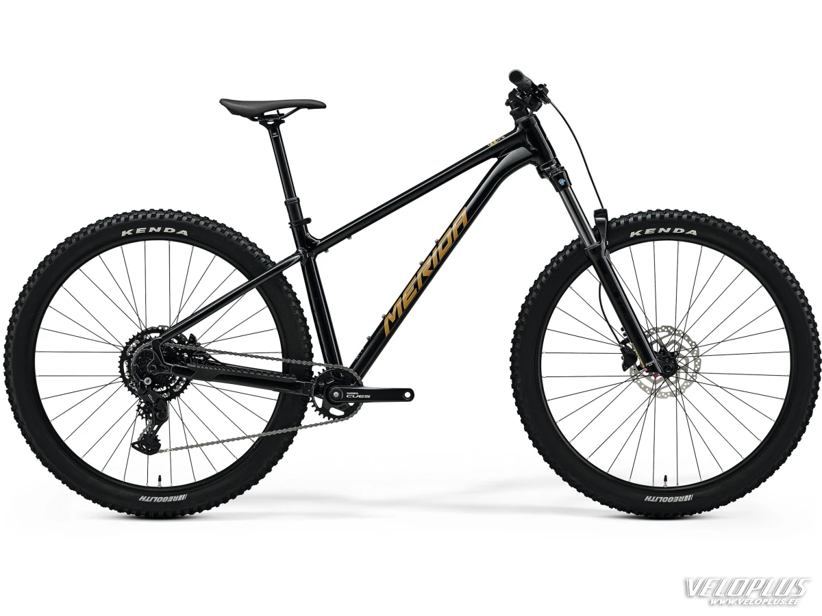 Merida BIG.TRAIL 300 (2025)