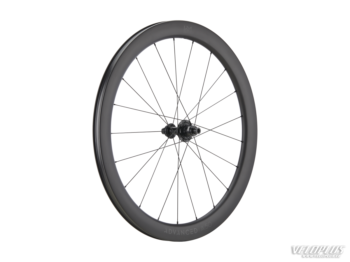 Rear Wheel NEWMEN Advanced A.50 622 21h FADE R SJ CL 12x142 XDR