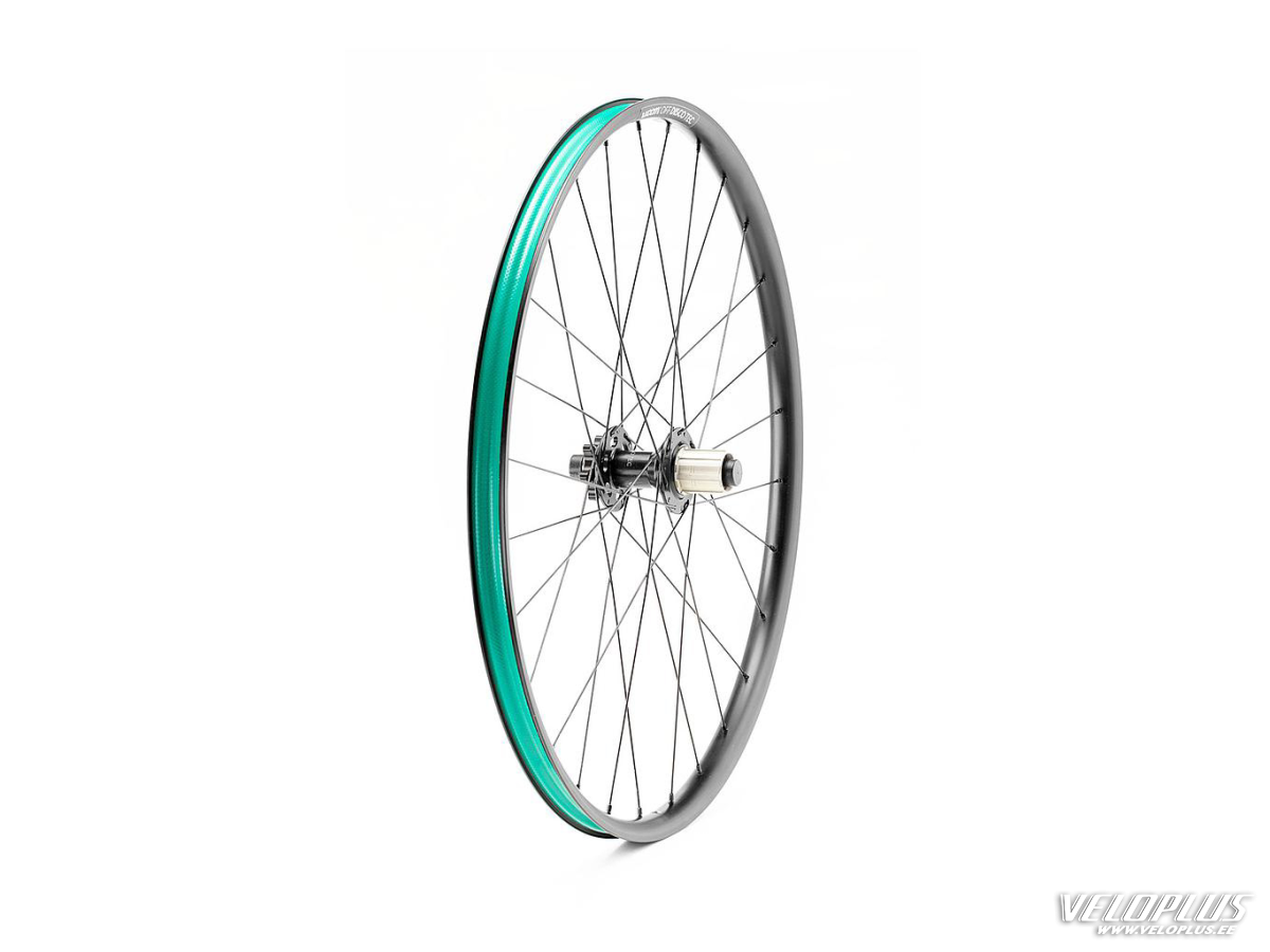 Tagajooks WOOM OFF 6 26 THRU PV SRAM/HG kassetile Gen B