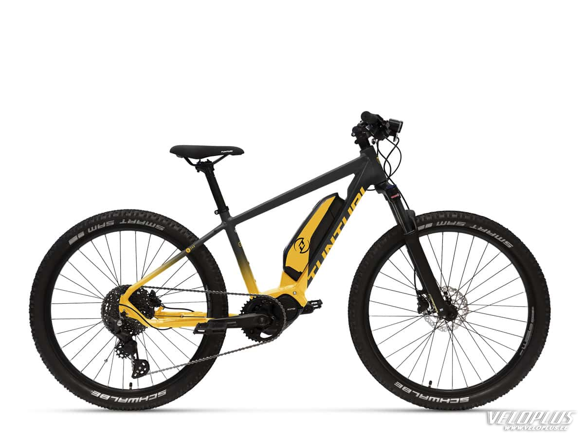 Tunturi E240 E-MTB 325H