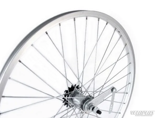Rear Wheel Stars 24", single speed, coaster brake, silver