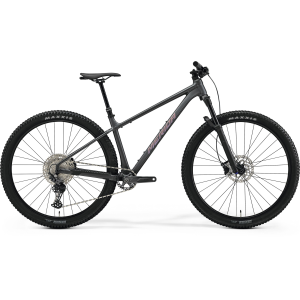 Merida BIG.NINE TR 700