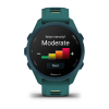 Garmin Forerunner 170 Music, Зелёный thumbnail 4