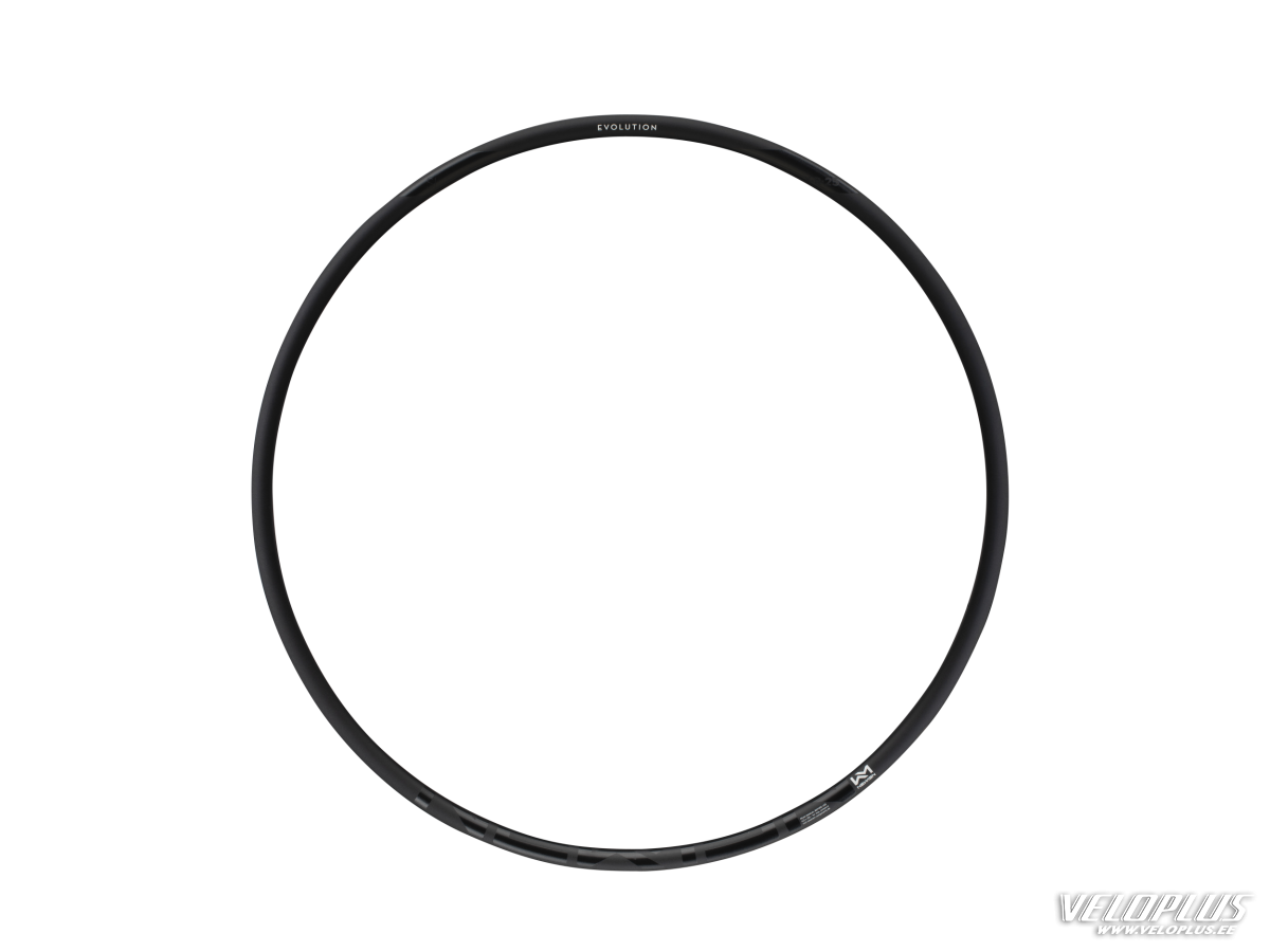 Riteņa aploks NEWMEN Evolution SL X.R.25 29" 28h