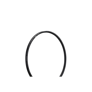 Riteņa aploks NEWMEN Evolution SL X.R.25 29" 28h