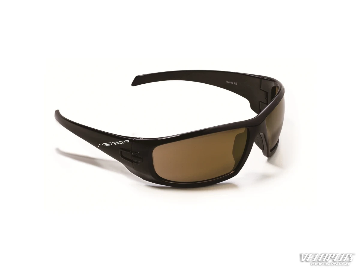 Glasses Merida shiny black with brown lenses