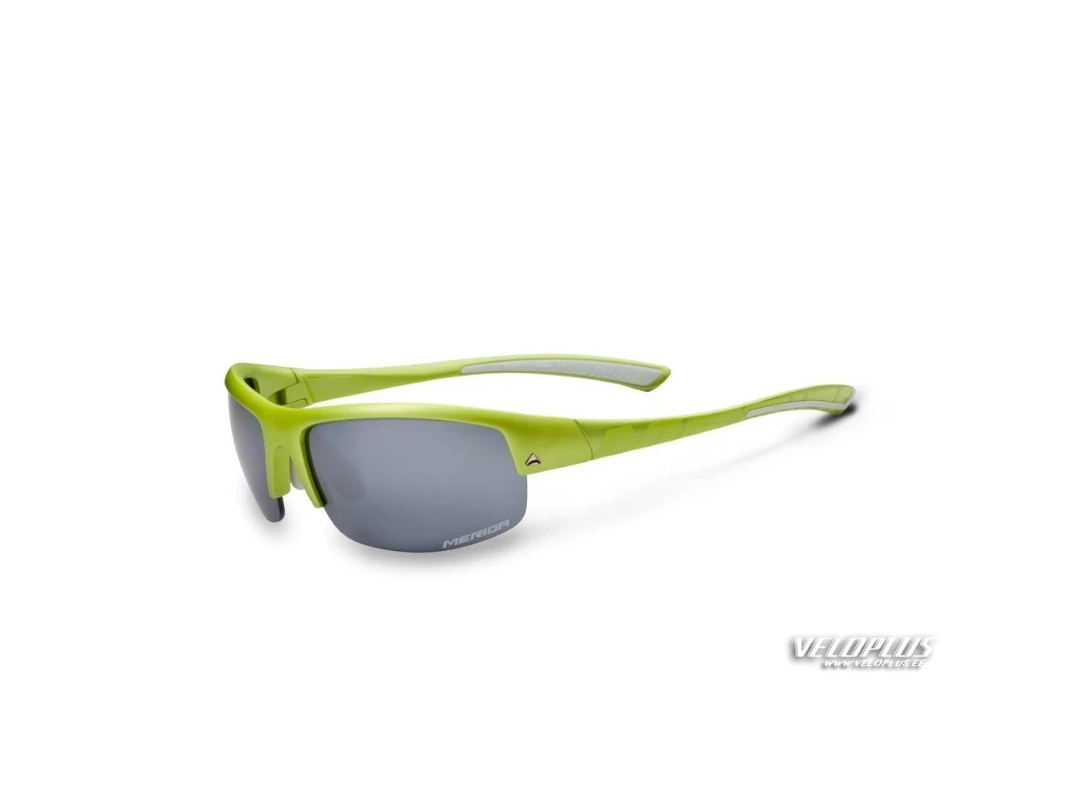 Glasses Merida grey, grey lenses
